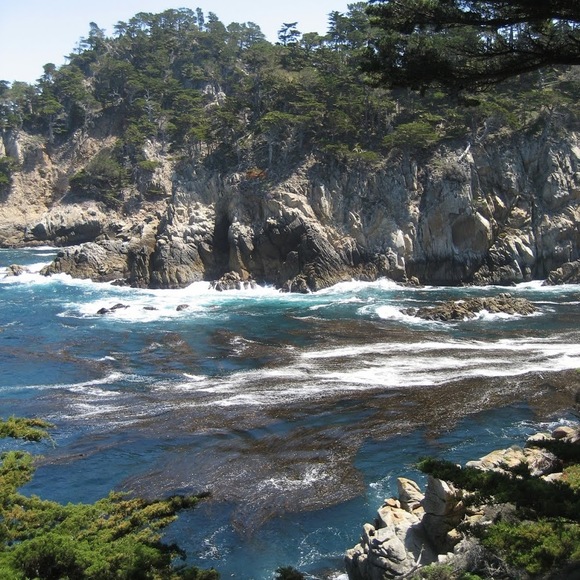 Meet your Posher, Erica - Picture 1 of 1